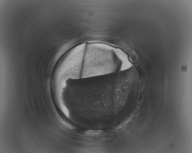 X0000094190051200711241624