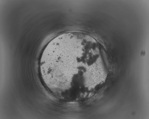 X0000094190053200711241624