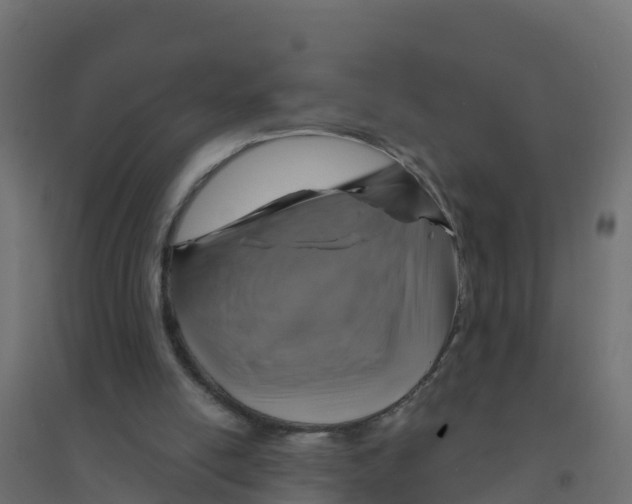 X0000094190054200711241624