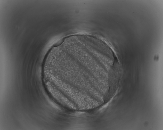 X0000094190055200711241624