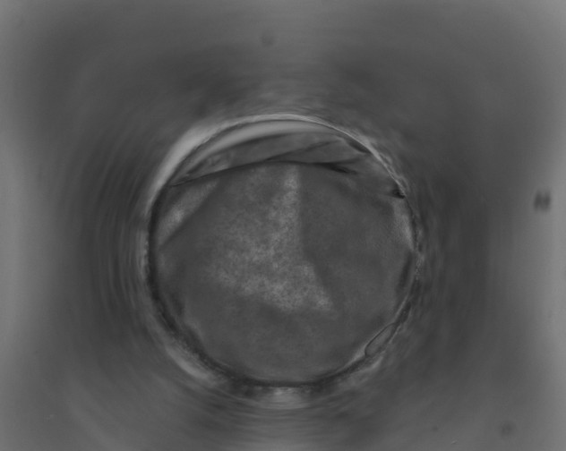 X0000094190056200711241624