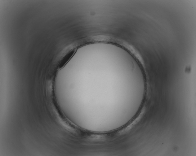 X0000094190057200711241624