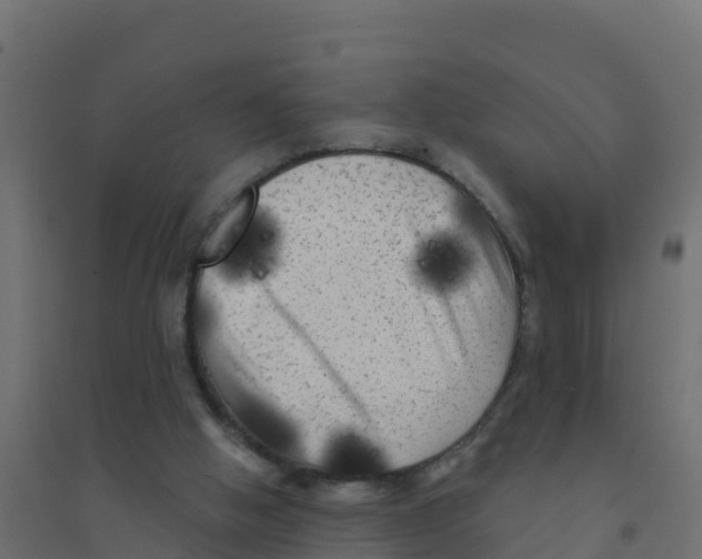 X0000094190058200711241624