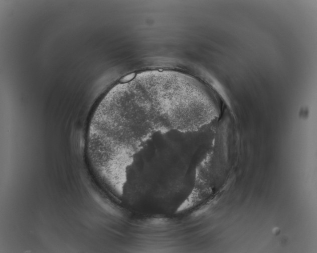 X0000094190059200711241624
