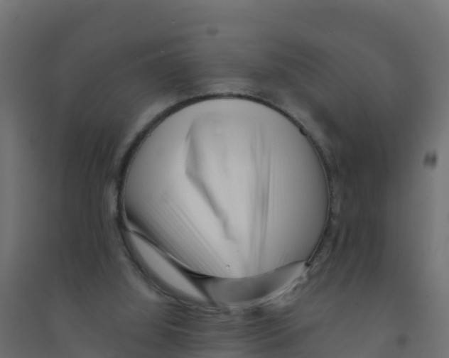 X0000094190060200711241624