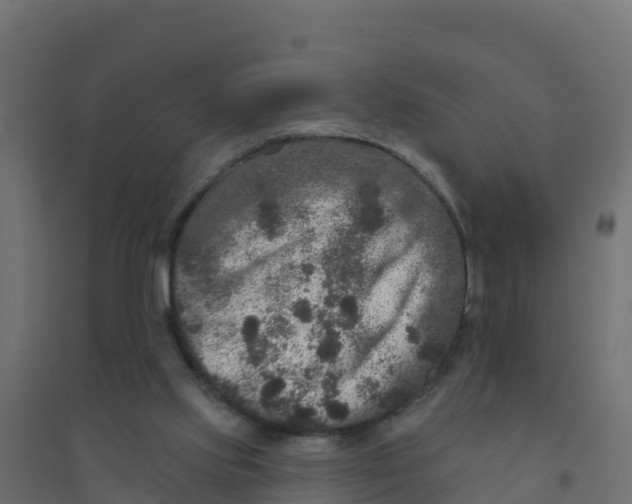 X0000094190061200711241624