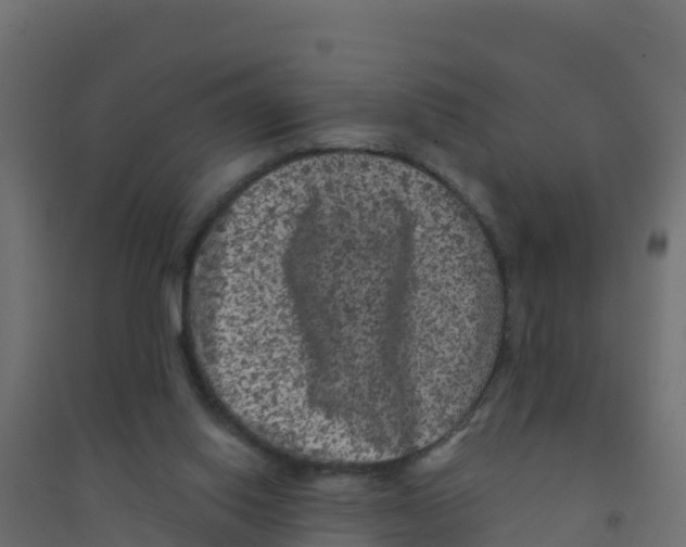 X0000094190062200711241624