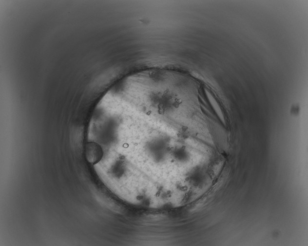 X0000094190066200711241624