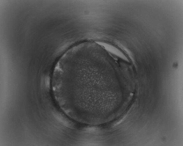 X0000094190067200711241624