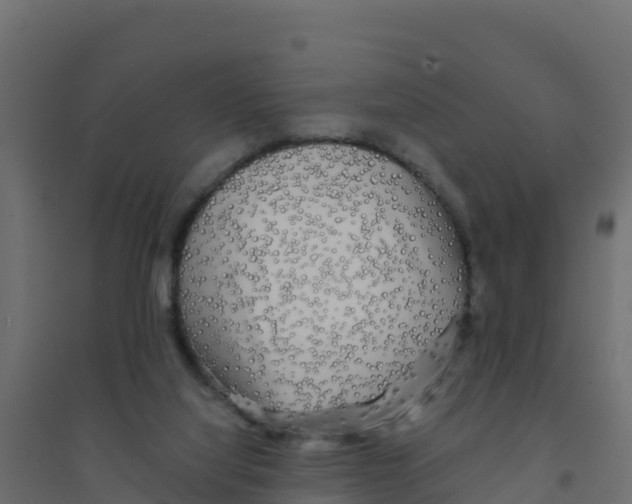 X0000094190068200711241624