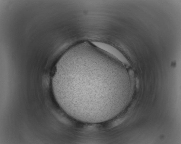 X0000094190072200711241624