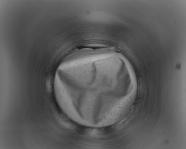 X0000094190074200711241624