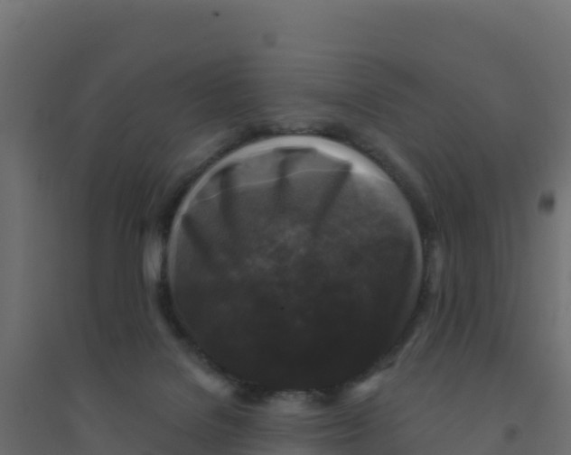 X0000094190076200711241624