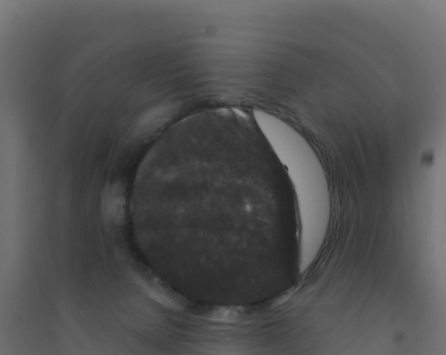 X0000094190080200711241624