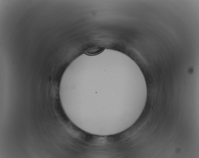X0000094190083200711241624