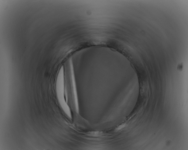 X0000094190084200711241624