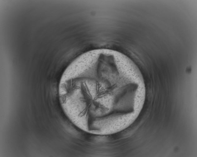 X0000094190085200711241624