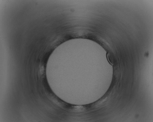 X0000094190087200711241624
