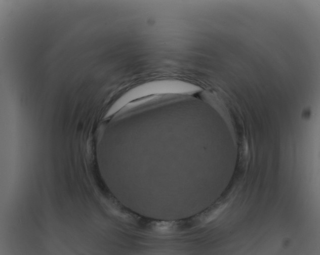 X0000094190088200711241624
