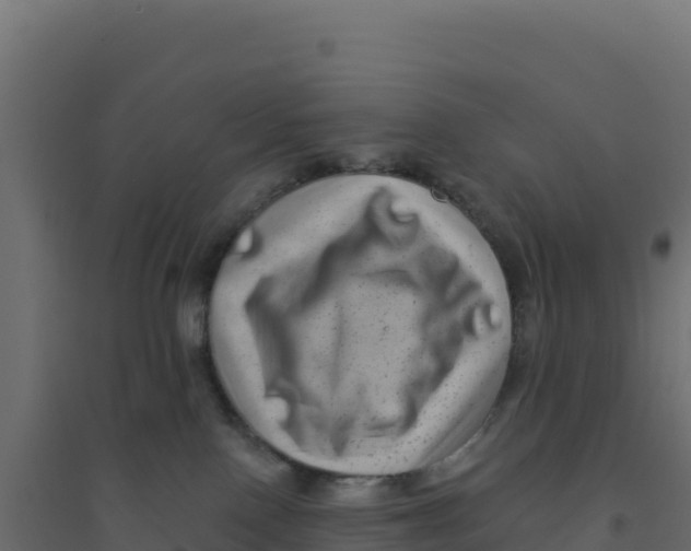 X0000094190090200711241624