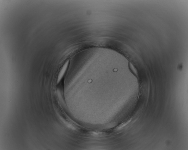 X0000094190092200711241624