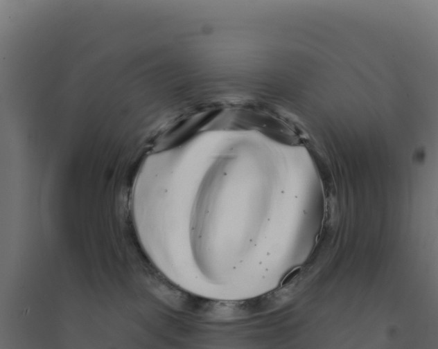 X0000094190093200711241624