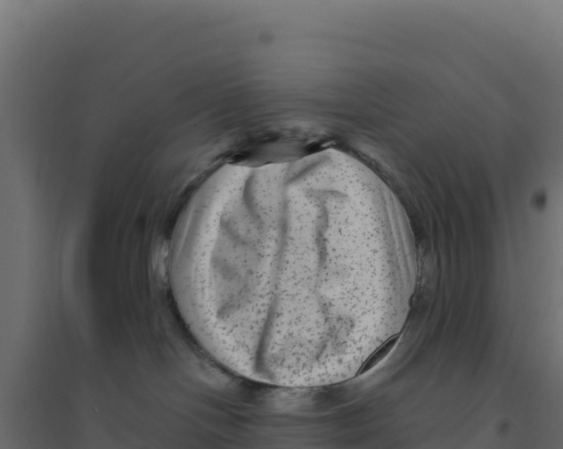 X0000094190094200711241624