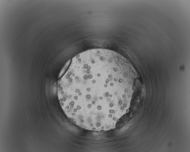X0000094190095200711241624