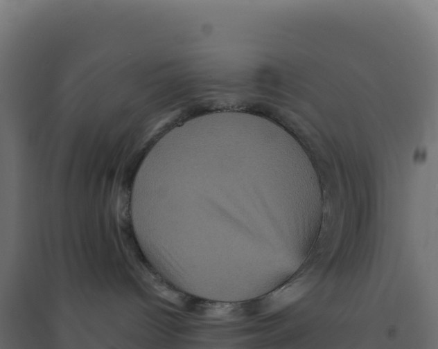 X0000094190096200711241624