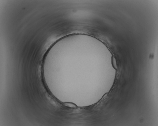 X0000094190098200711241624