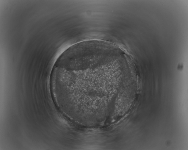X0000094190099200711241624
