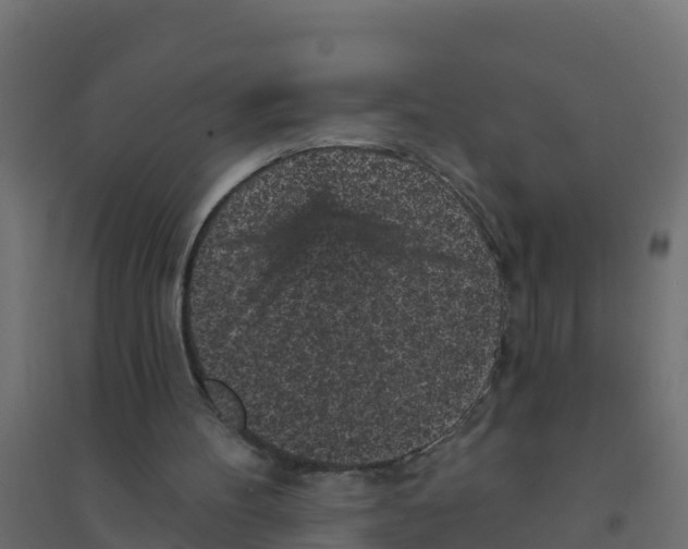 X0000094190100200711241624