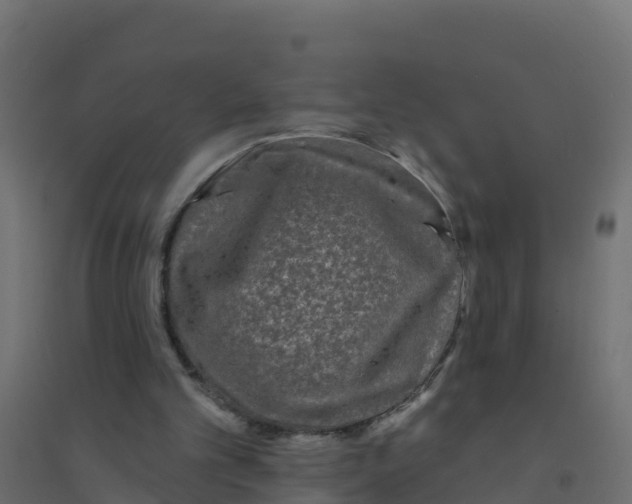 X0000094190101200711241624