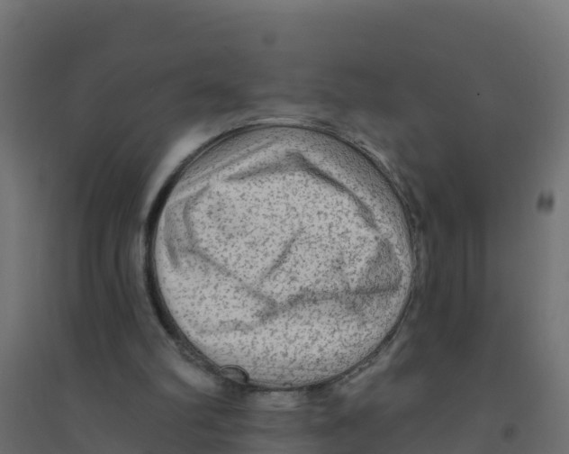 X0000094190102200711241624