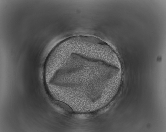 X0000094190103200711241624