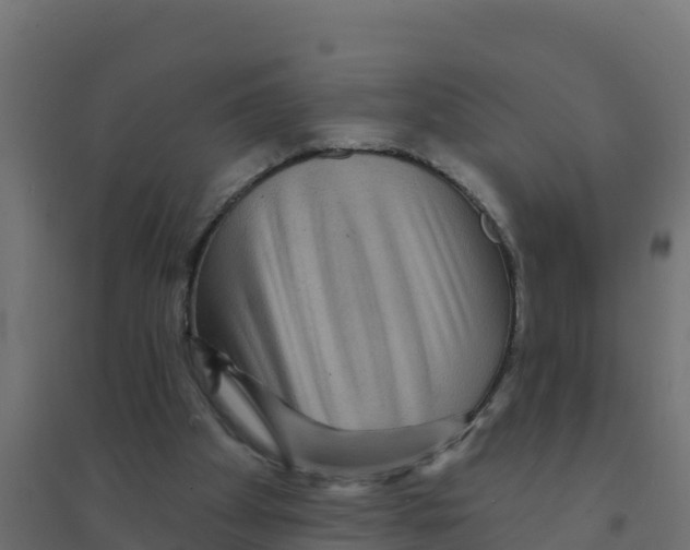 X0000094190105200711241624