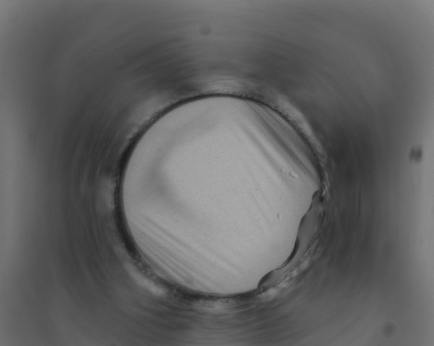 X0000094190106200711241624