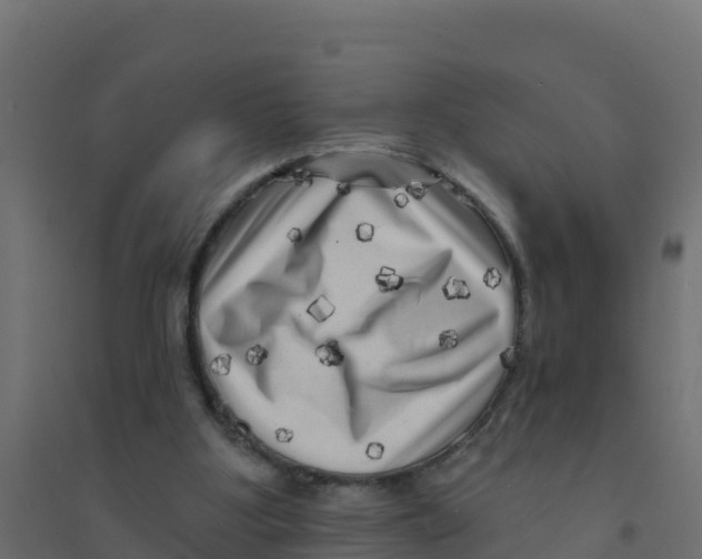 X0000094190107200711241624