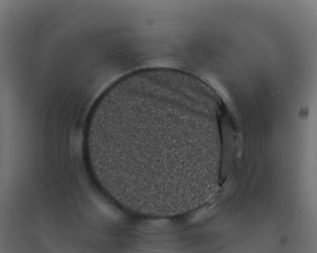 X0000094190108200711241624