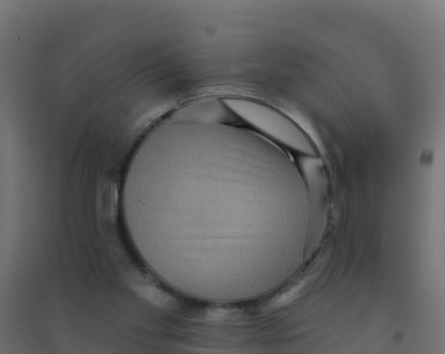 X0000094190109200711241624