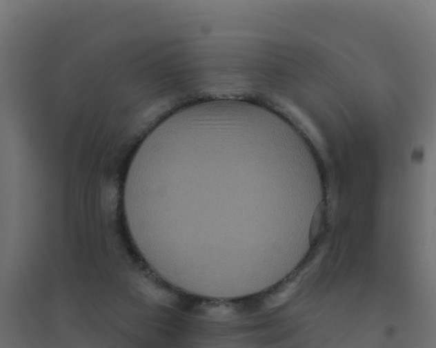 X0000094190113200711241623