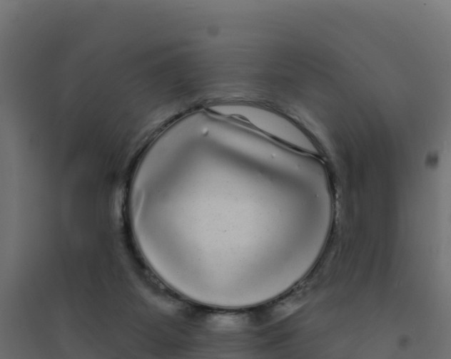X0000094190115200711241623