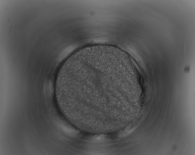 X0000094190116200711241623