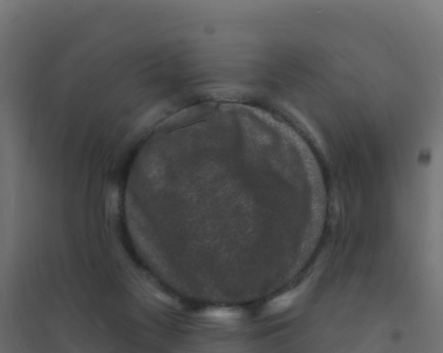 X0000094190117200711241623