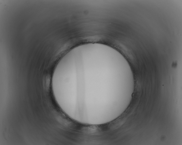 X0000094190118200711241623