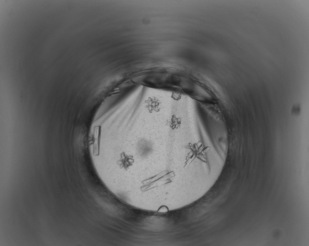 X0000094190119200711241623
