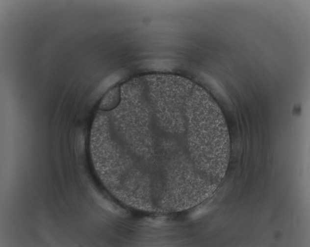 X0000094190120200711241623