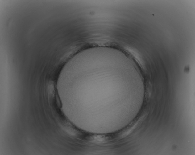 X0000094190121200711241623