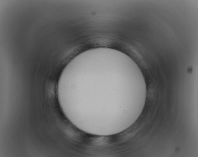 X0000094190122200711241623