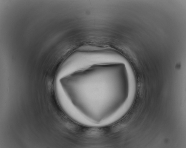 X0000094190123200711241623